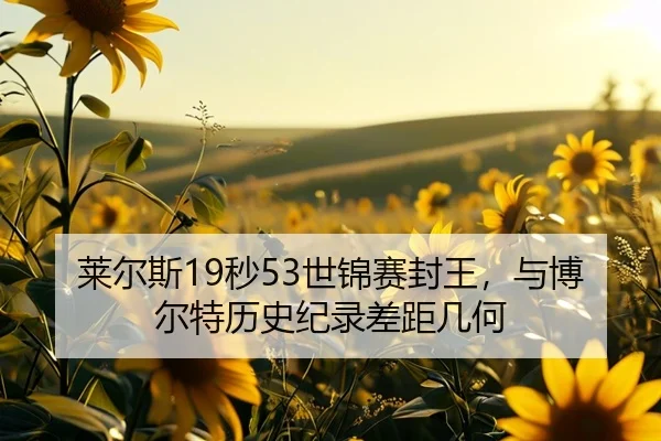 lai-er-si-miao-shi-jin-sai-feng-wang-yu-bo-er-te-li-shi-ji-lu-cha-ju-ji-he-3-717.jpg