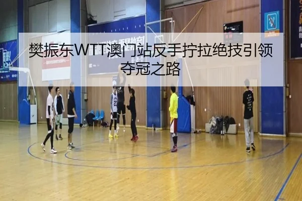 樊振东WTT澳门站反手拧拉绝技引领夺冠之路